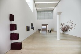 Fotoğraf: Orhan Cem Çetin gökcen-dilek-acay